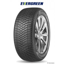 Pneu TOURISME ETE EVERGREEN EA721 : 205/50r17 93 W